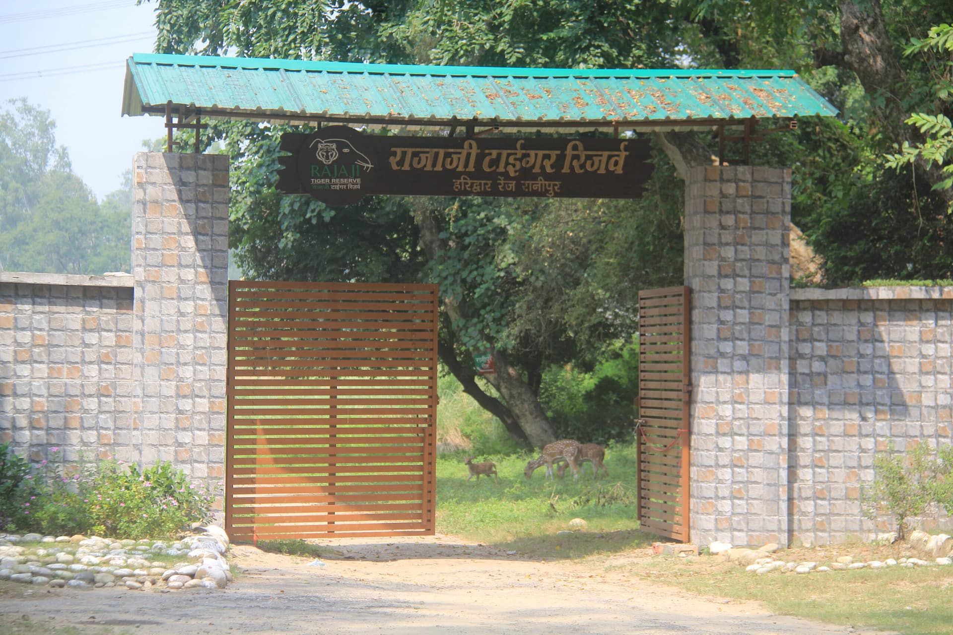 Rajaji Jeep Safari – Jeep safari in Rajaji National Park